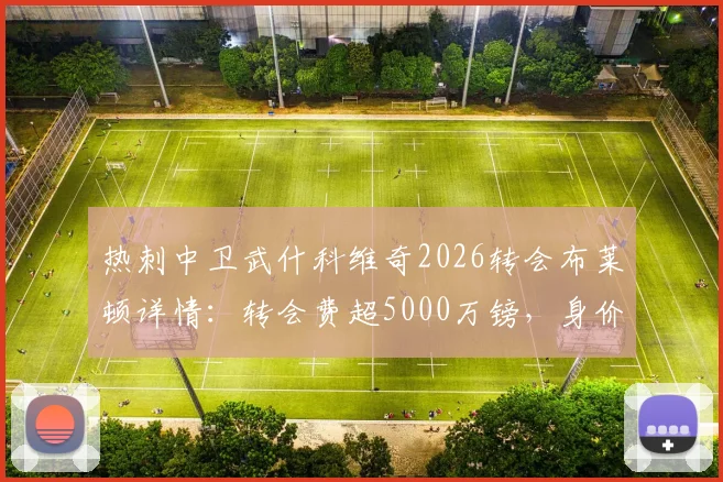 热刺中卫武什科维奇2026转会布莱顿详情:转会费超5000万镑,身价与前景深度分析