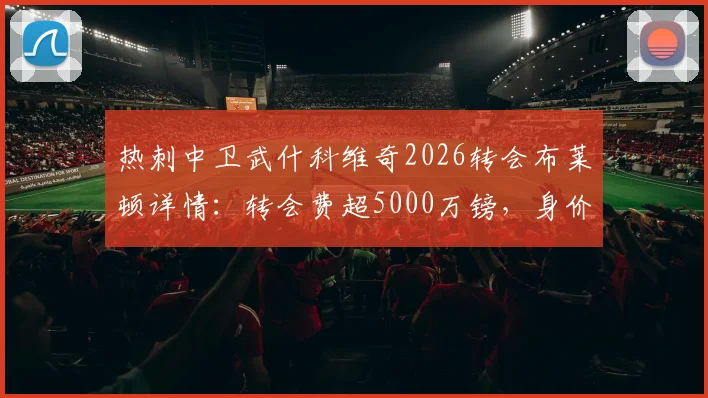 热刺中卫武什科维奇2026转会布莱顿详情:转会费超5000万镑,身价与前景深度分析