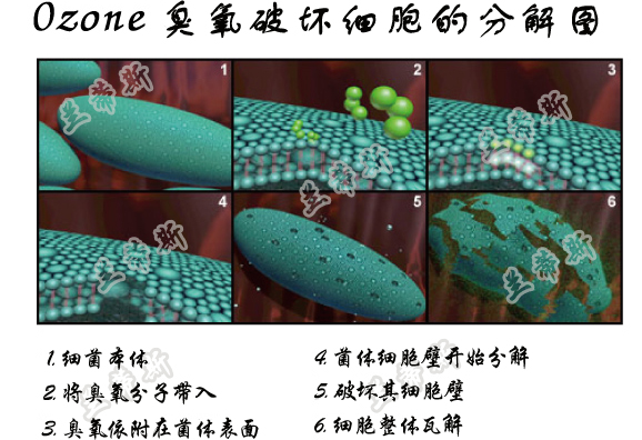 小型臭氧發(fā)生器