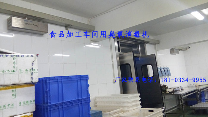 食品廠用臭氧機