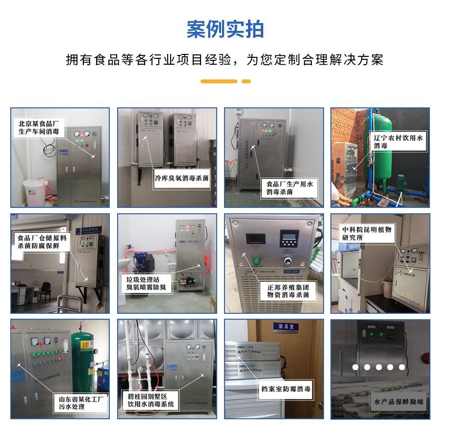 食品廠用臭氧發(fā)生器 食品廠用臭氧發(fā)生器