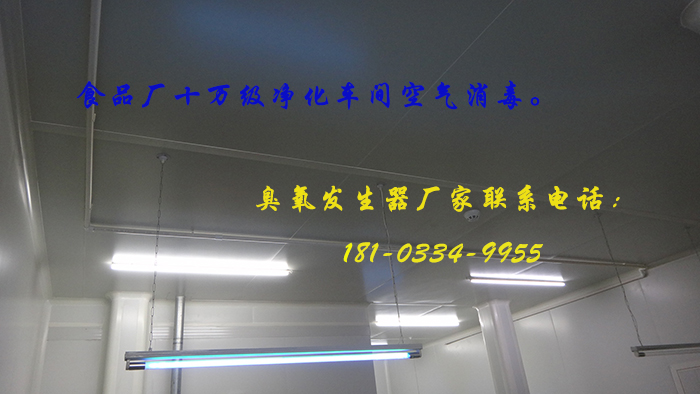 食品廠專用臭氧發(fā)生器