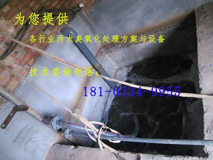 污水臭氧化處理